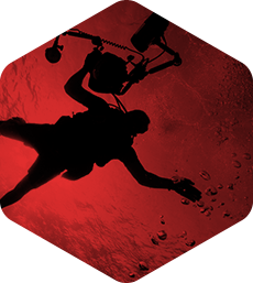 自动发货快的短信轰炸免费在线网站